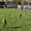 Dravci 2010